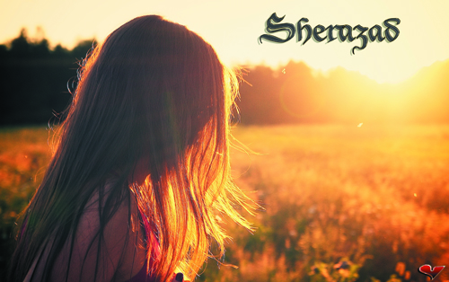 sherazad, agence de communication